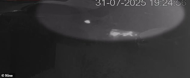 Pictured: Sparks Fly As Hooper's Vehicle (Right) Collides With Parked Cars In Cctv Footage Of The Alleged Incident