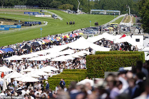 Goodwood Is One Of The Most Visually Impressive Racecourses On Earth But The Racing Fell Flat