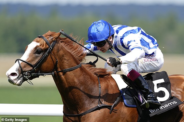 Oisin Murphy Won On Seagulls Eleven And Delivered A Riding Masterclass On Friday