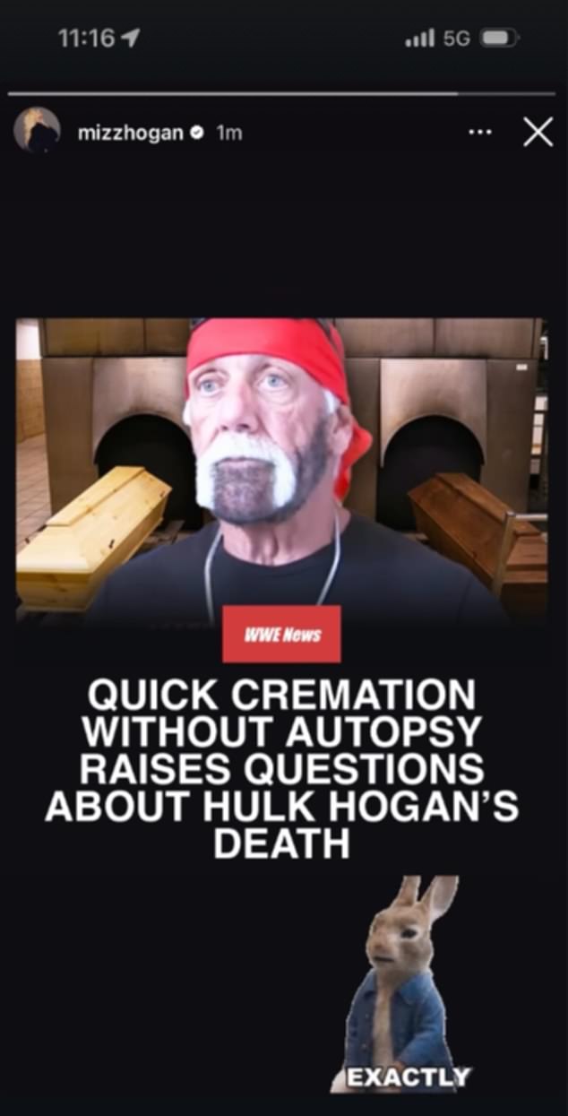 In Response To An Instagram Post About Bubba's Claims, Brooke Hogan Posted 'Exactly'