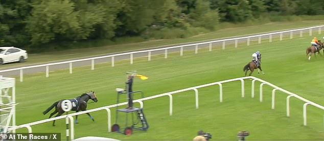 After Being Spooked By The Runner Beside Him, The Horse Reared Up His Jockey And Ploughed Through The Stalls