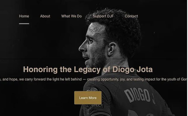 This was the homepage of the 'foundation', which claimed to be raising money for good causes