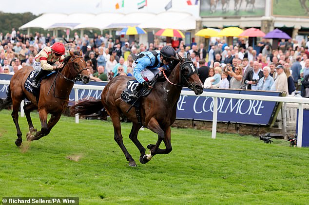 Australian-Trained Asfoora Kicks Clear To Win The Nunthorpe And Reward Patience Of Connections