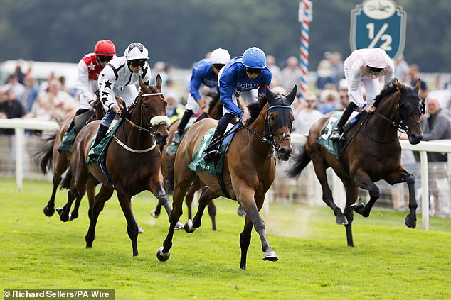 Gold Cup Hero Trawlerman Delivered Again At York... Just Like The Popular Stayer Did At Ascot