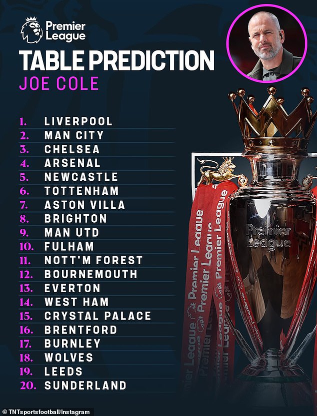 Joe Cole Was The Only Pundit To Predict That A Promoted Side Will Be Able To Escape The Drop