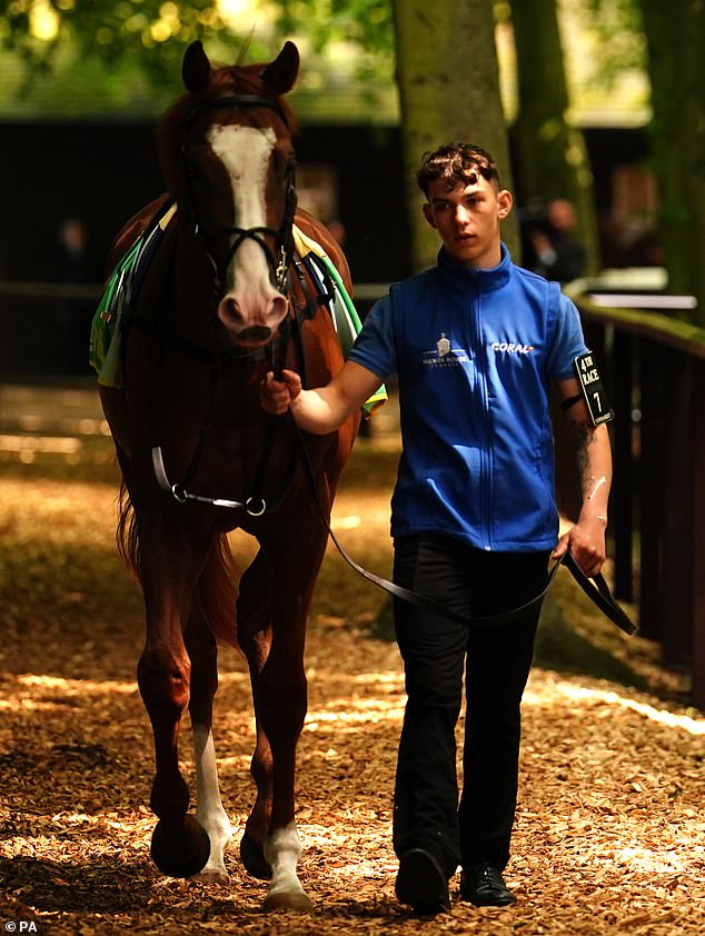 The Golden Eagle Jumps At 4.45Pm Aedt On Saturday, And Is The Second-Richest Race In Australia, Behind The Everest (Pictured, Seagulls Eleven At The Newmarket Track)