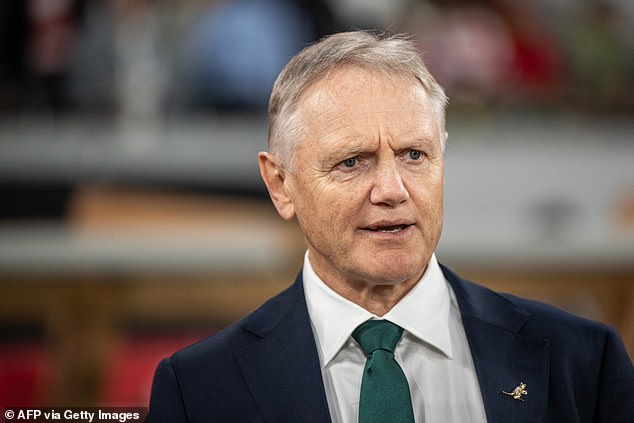 Joe Schmidt Refuses To Criticise “Unfair” Selection Limits As England Name Full-Strength Side While Australia’s Stars Remain Unavailable