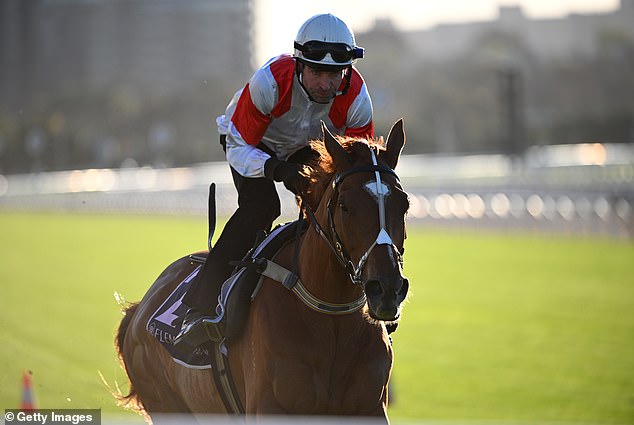 A Wet Surface Is Likely To Break The Rhythm Of Land Legend's Stride, Which Could His Melbourne Cup Campaign Unravel