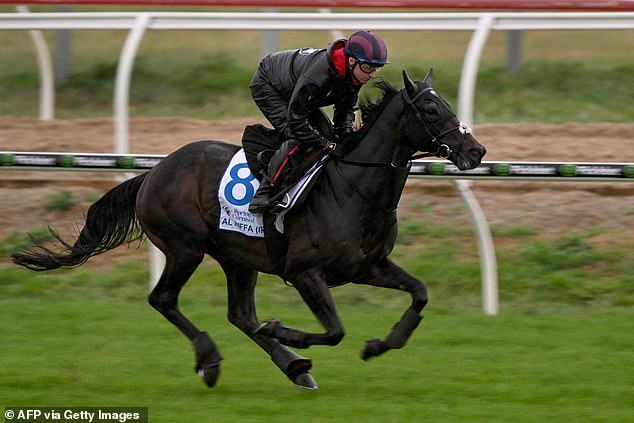 The Joseph O'brien-Trained Horse, Al Riffa (Pictured), Is The Current Favourite To Win This Year's Melbourne Cup
