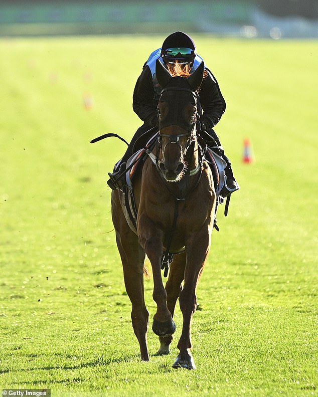 Jamie Was Riding Half Yours, Which She Said Was Appropriate Because When She Won, Half The Money Would Go To Her Husband Anyway