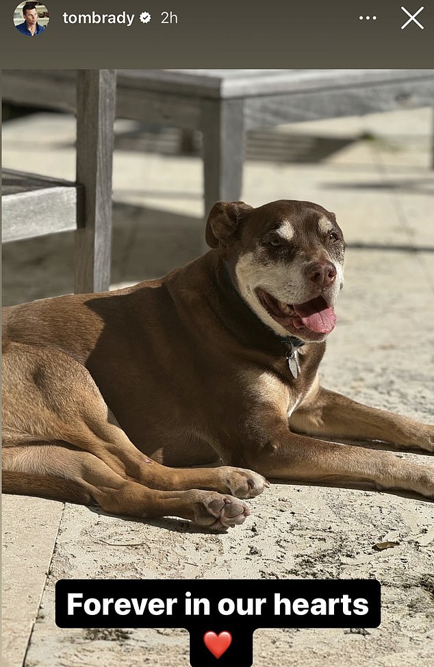 Brady Bid Farewell To The Family Dog, Lua, Back In 2023. They Now Have At Least Two Dogs