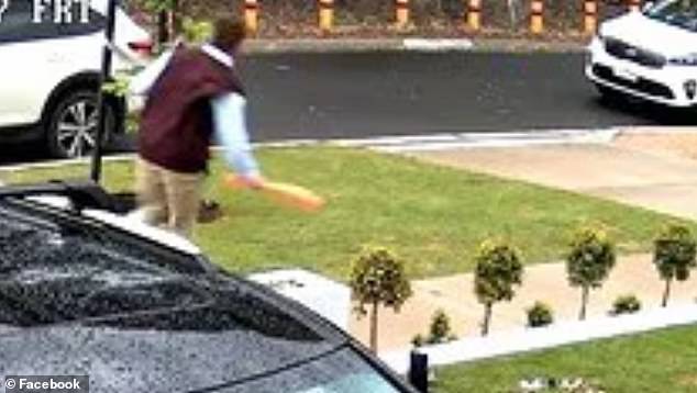 The Teenagers Later Reportedly Dumped The Orange Bat (Pictured) At A Nearby Nature Strip, With Their Callous Behaviour Causing Outrage In The Geelong Community