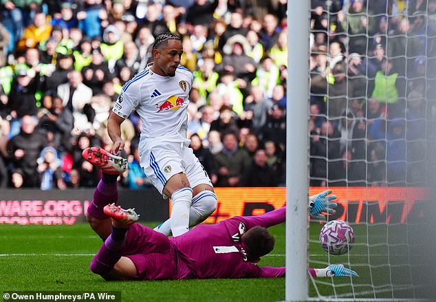 Noah Okafor, The £18M Signing From Milan, Was The Only Other Major Addition To Leeds' Attack