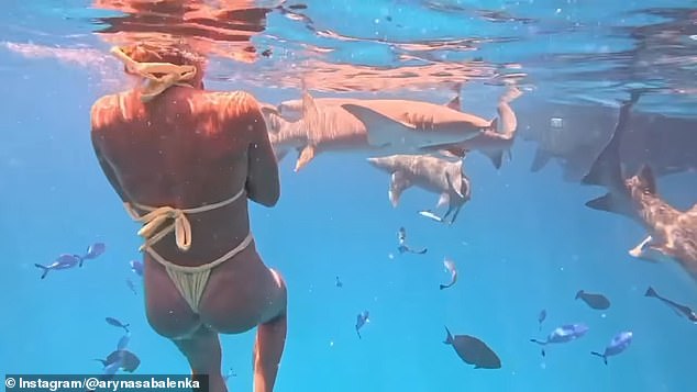 The Belarusian enjoyed a hair-raising guided swim with several reef sharks in the water