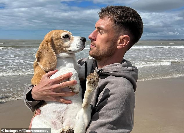 The Former Arsenal Man Has Doubled The Reward For Information About His Missing Dog Halo After The Canine Vanished In Mexico