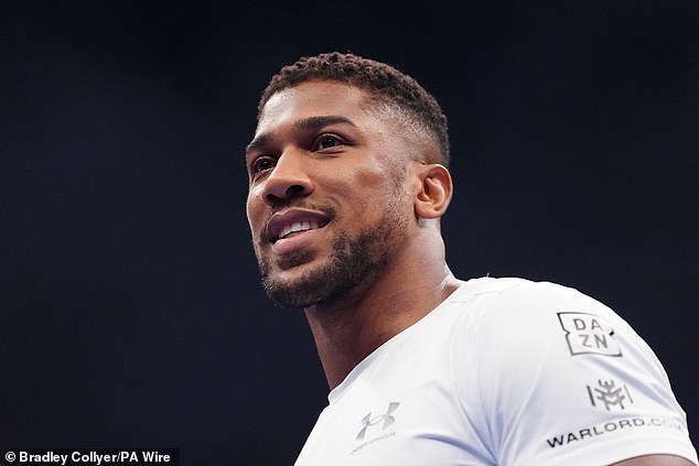 Anthony Joshua Has Revealed That He Has Been Training With Oleksandr Usyk's Camp Ahead Of Meeting Jake Paul