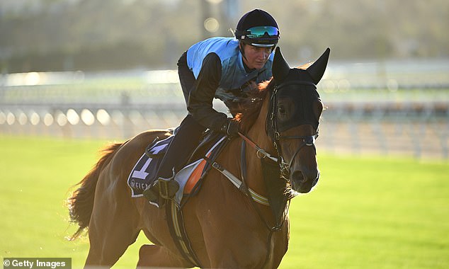 A Series Of Experts From Macquarie Capital As Well As An Artificial Intelligence (Ai) Model Have Crunched The Numbers When It Comes To The 2025 Melbourne Cup - And Both Declared The Same Winner, Half Yours (Pictured)