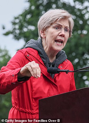 Senator Elizabeth Warren