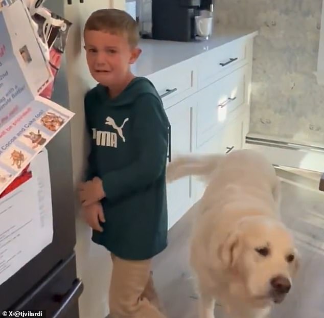 A Young Jets Fan Threw A Tantrum After Hearing That New York Had Traded Sauce Gardner