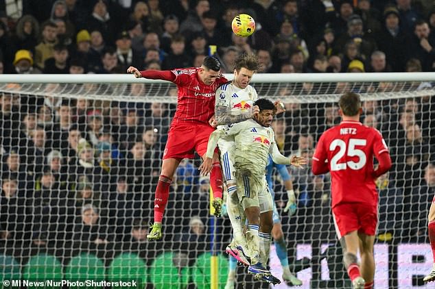 Instead, Forest Brought In 6Ft 7In Striker Lorenzo 'Pizza Crouch' Lucca (Left) And German Left Back Luca Netz (Right)