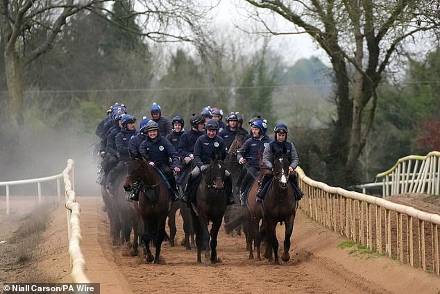 Elliott Opened Up His Cullentra House Stables At Longwood In County Meath, Ireland