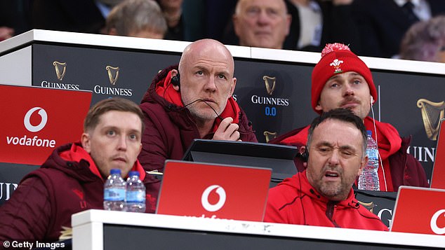 Steve Tandy Is Not To Blame For The Crisis In Welsh Rugby - And His Team Need Backing