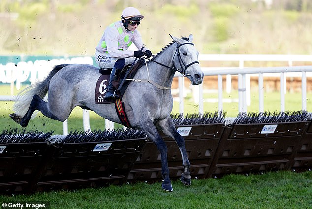 Lossiemouth Would Have A Big Chance But Looks More Likely Now To Run In The Mares' Hurdle