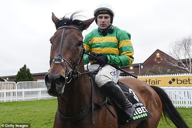 The New Lion Is Also At The Head Of The Champion Hurdle But Does He Have Enough Speed?