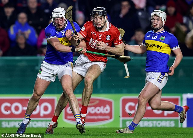 Need For Guidance: Action From The Recent League Game Between Cork And Tipp