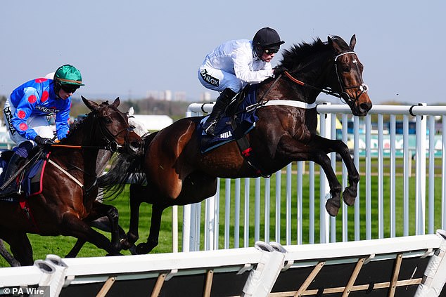 Constitution Hill Won The Champion Hurdle In 2023 But Fell In The 2025 Renewal