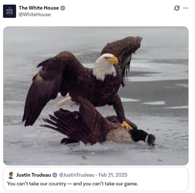 The White House Trolled Canada And Justin Trudeau On Social Media After The Usa's Gold Win