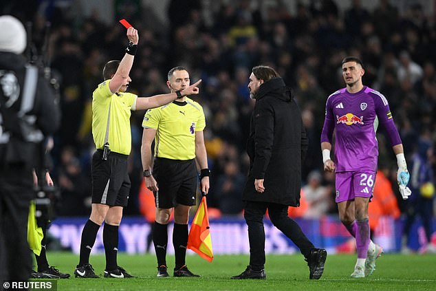 Daniel Farke Was Sent Off Seconds After Full-Time For Confronting Referee Peter Bankes