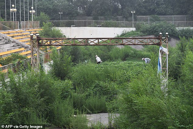 Two People Can Be Seen Tending To A Vegetable Plot In The Site Previously Used In 2008