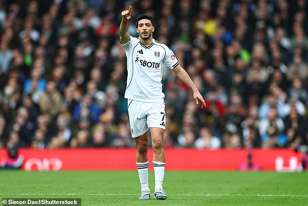 The Interim Head Coach Also Branded Fulham's Raul Jimenez A 'Cheat' In The Furious Rant