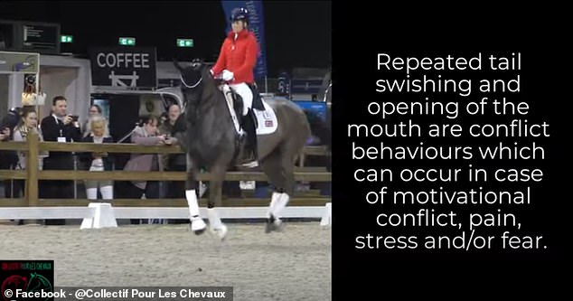 The Video Alleged The Mare Alive And Kicking Had Showed 'Conflict Behaviours' Due To Dujardin's Approach