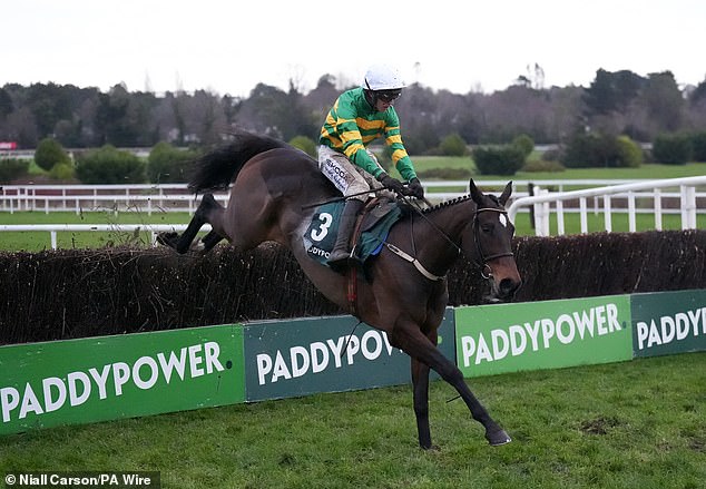 Fact To File Won The Irish Gold Cup But Looks Likely To Swerve The Cheltenham Equivalent