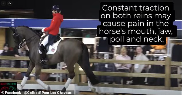 A Video Has Been Shared By A Horse Welfare Organisation Critiquing Dujardin's Horsemanship