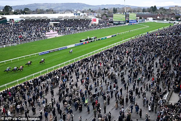 High Hotel Prices Have Been Cited As A Reason For Attendances Falling At Cheltenham Festival