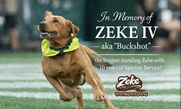 Michigan State University Announced The Death Of Their Mascot Zeke The Wonderdog