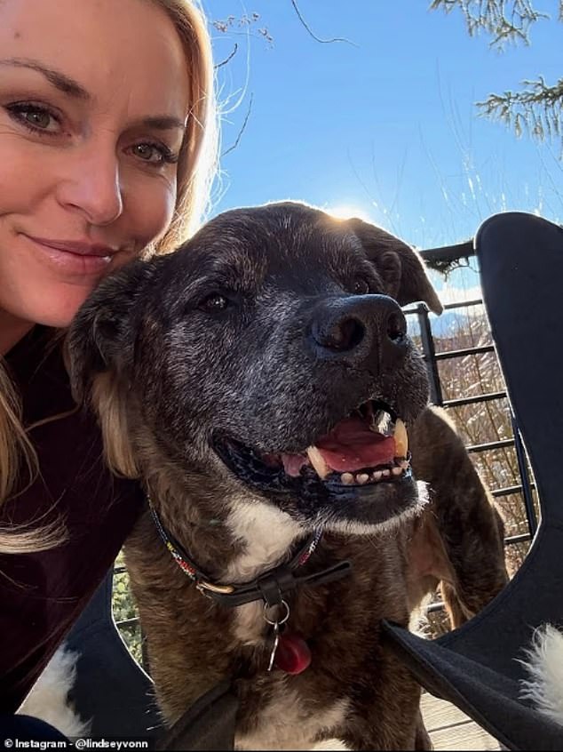 Leo, A Shelter Dog Lindsey Vonn Adopted In 2014, Died After A Recent Cancer Battle