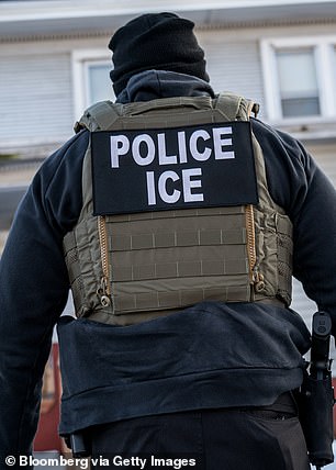 An Ice Agent In Minneapolis